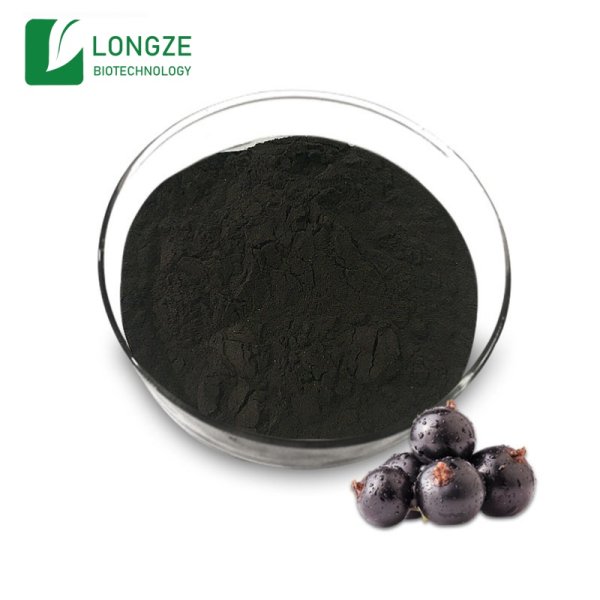 Blackcurrant Extract Anthocyanins — ISN Biotech Co., Ltd.