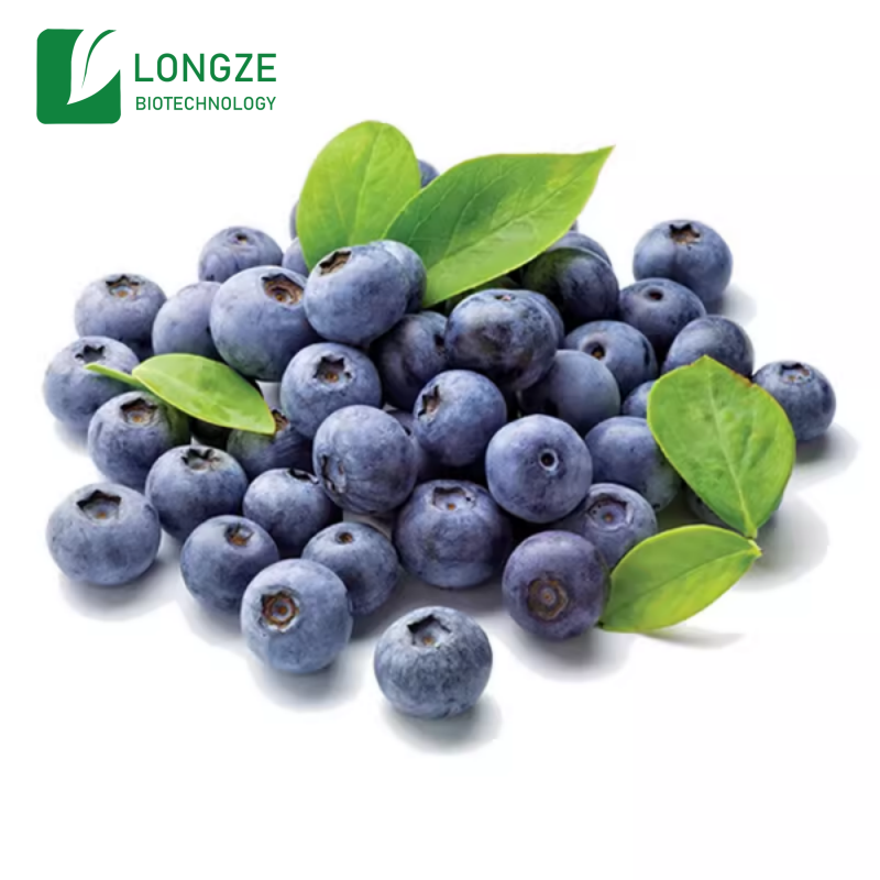 Blueberry Extract Powder Thumbnail 4