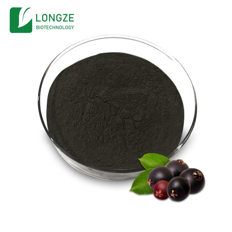 Black Elderberry Extract powder immune support — ISN Biotech