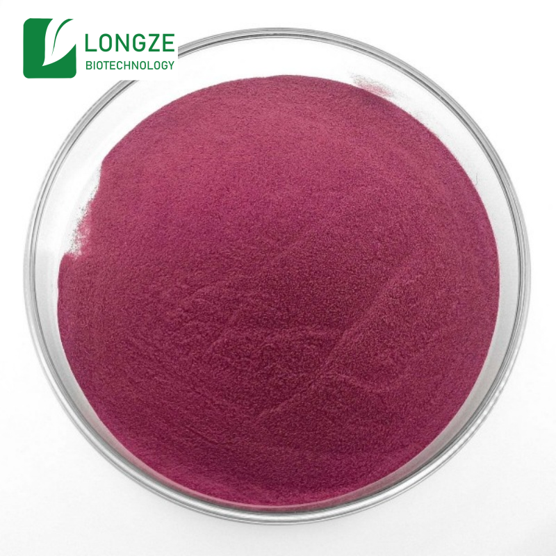 Blueberry Extract powder natural antioxidant — ISN Biotech