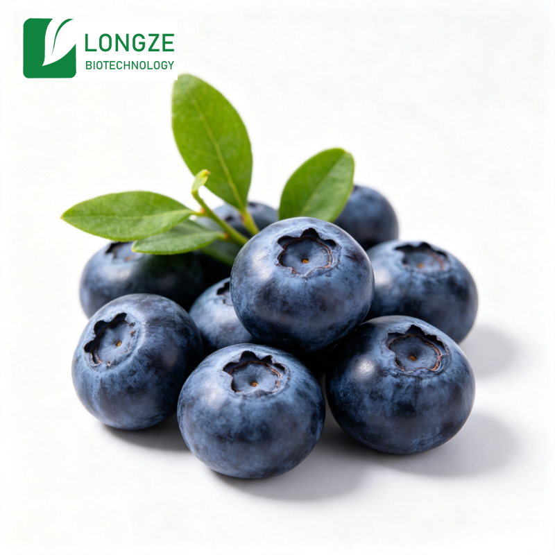 Blueberry Extract Powder Thumbnail 3