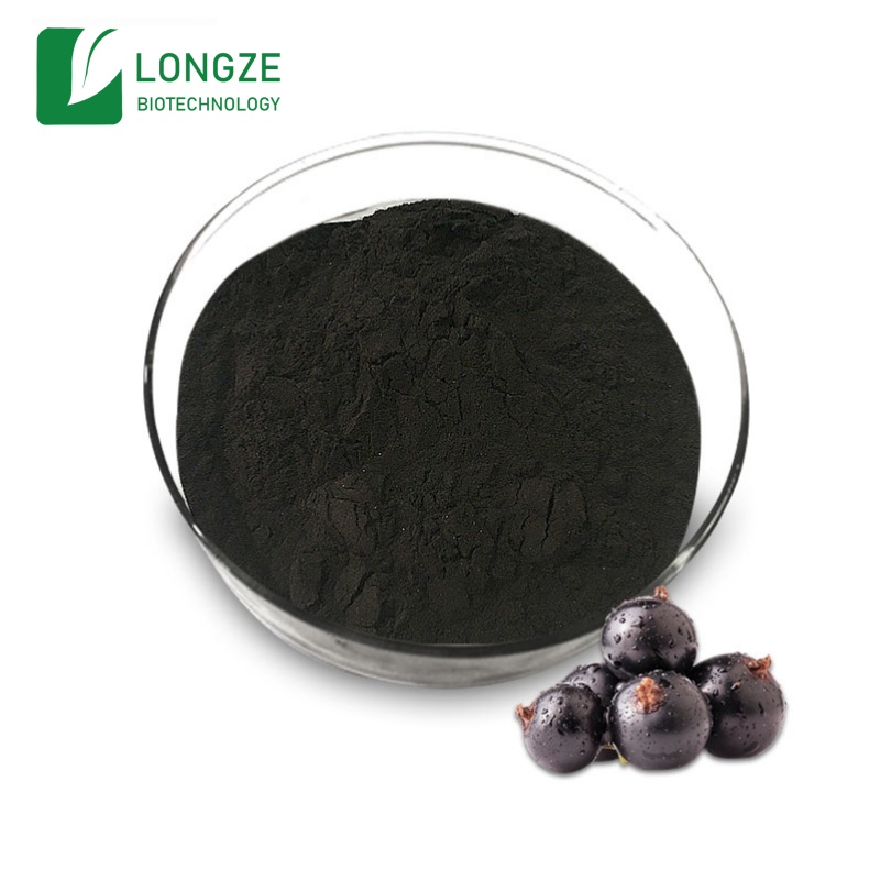 Blackcurrant Extract Anthocyanins powder — ISN Biotech