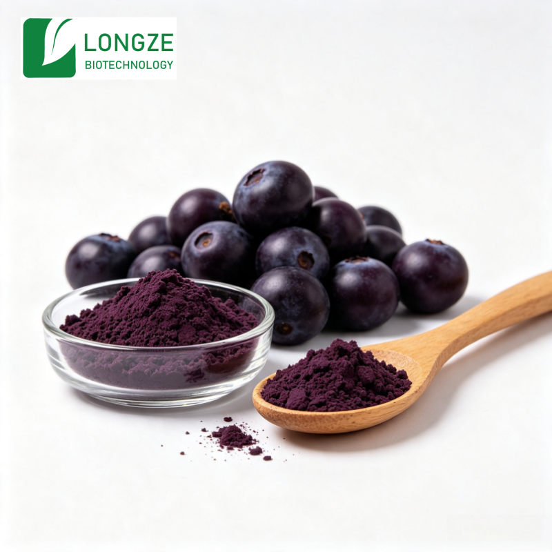 Organic Acai Berry Powder bulk supply — ISN Biotech