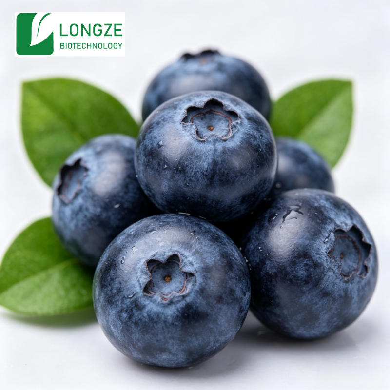 Bilberry Fruit Raw Ingredient Base
