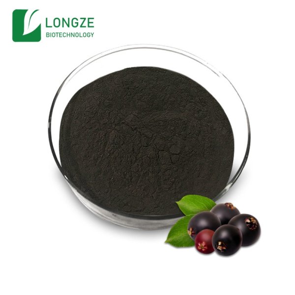 Black Elderberry Extract Powder — ISN Biotech Co., Ltd.